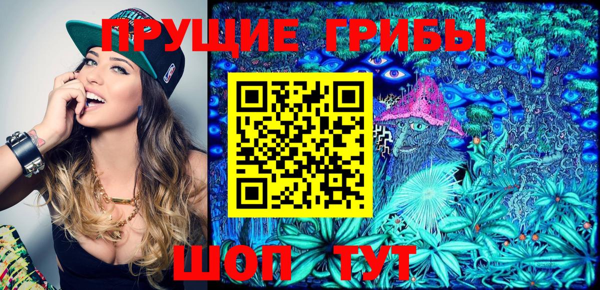Галлюциногенные грибы Cubensis Рыбинск